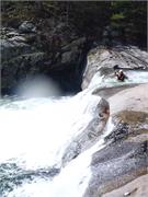 Tellico 13